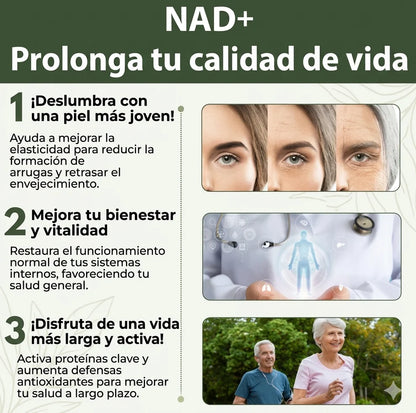 NAD+ Resveratrol: 900g de Vitalidad
